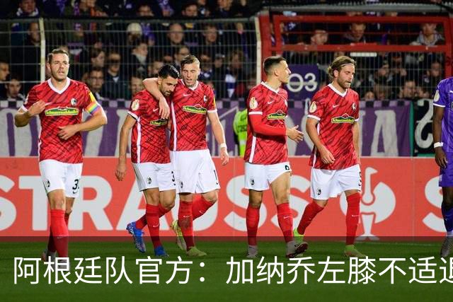 阿根廷队官方：加纳乔左膝不适退出本期国家队